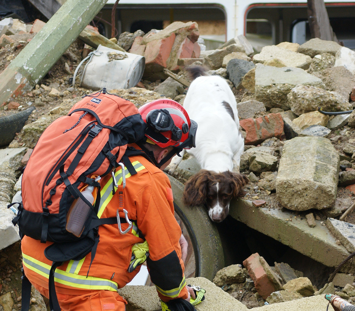 encore safety group disaster deployment dog rescue in rubble 